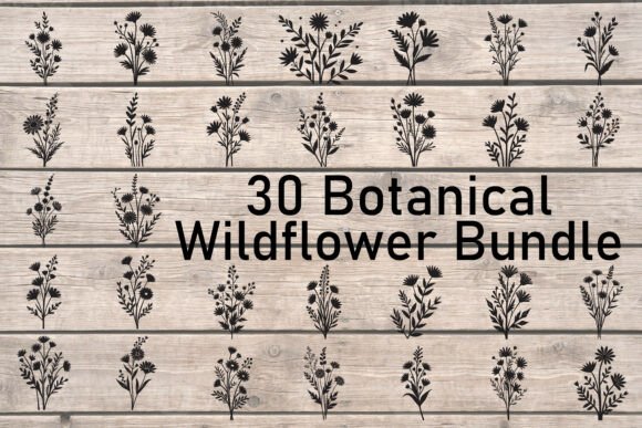 Download Botanical Wildflower Bundle - Botanical Collection